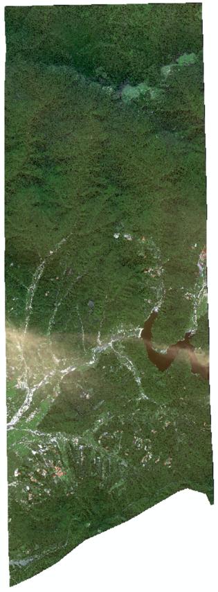 image_5.jpg
